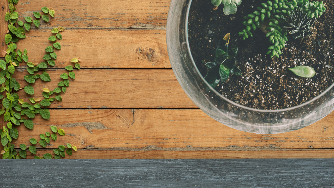 Organic scented candles